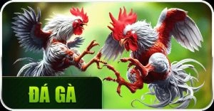đá gà 888new