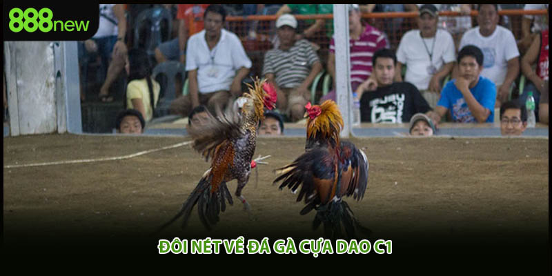 Đôi nét về đá gà cựa dao c1