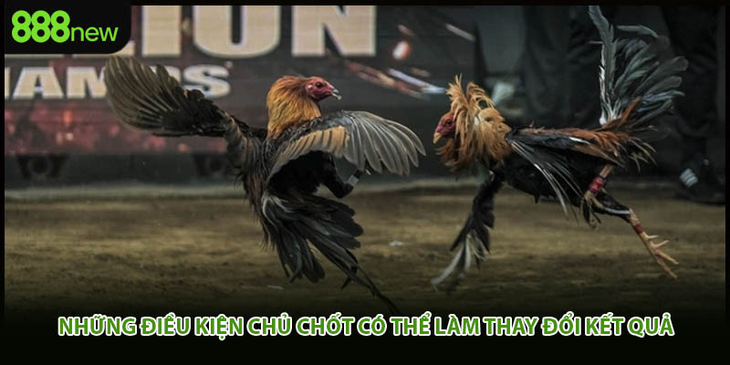 Những điều kiện chủ chốt có thể làm thay đổi kết quả