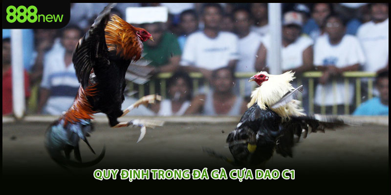 Quy định trong đá gà cựa dao c1