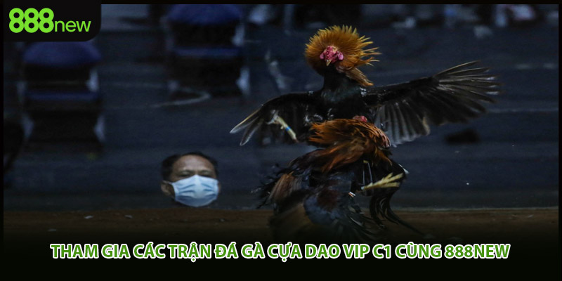 Tham gia các trận đá gà cựa dao vip c1 cùng 888new